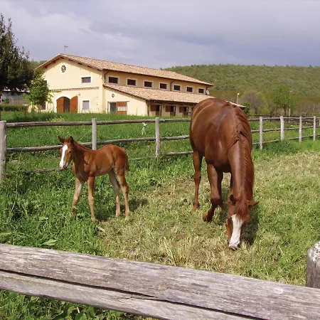 Potrero Grande Sul Di Martignano Con Farm stay Campagnano Di Roma